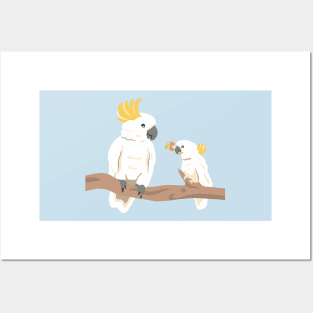 Cockatoos Posters and Art